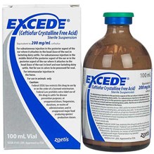 Excede Injection for Cattle/Equine 200 mg/ml 100 ml