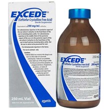 Excede Injection for Cattle/Equine 200 mg/ml 250 ml