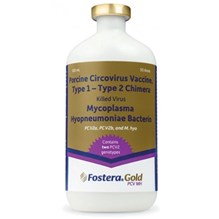 Fostera Gold PCV/MH 50 Dose