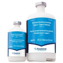 Fostera Gold PCV Metastim 50 Dose