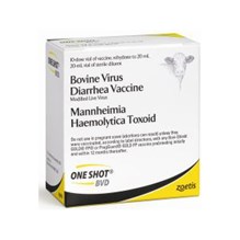 One Shot BVD 10 Dose 20 ml