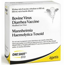 One Shot BVD 50 Dose 1000 ml