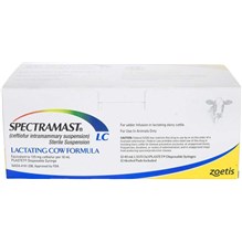 Spectramast LC Syringe 10 ml 12 ct