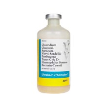 Ultrabac 7 / Somubac 50 Dose 250 ml