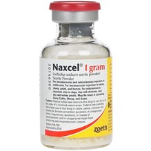 Naxcel Sterile Powder 50 mg/ml 20 ml