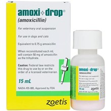 Amoxi-Drop Oral Suspension 50 mg/ml 12 x 15 ml