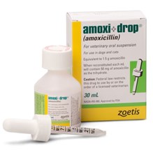 Amoxi-Drop Oral Suspension 50 mg/ml 12 x 30 ml