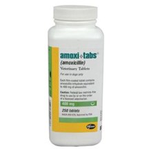 Amoxi-Tabs 400 mg 250 ct