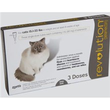 Revolution Topical Feline 15.1 - 22 lbs Taupe 5 x 3 ct