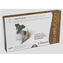 Revolution Topical Canine 10.1 - 20 lbs Brown 5 x 3 ct