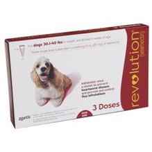 Revolution Topical Canine 20.1 - 40 lbs Red 5 x 3 ct