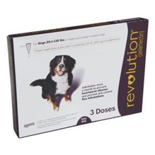 Revolution Topical Canine 85.1 - 130 lbs Plum 5 x 3 ct