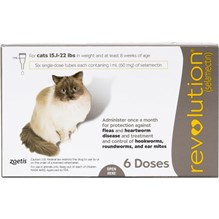 Revolution Topical Feline 15.1 - 22 lbs Taupe 5 x 6 ct