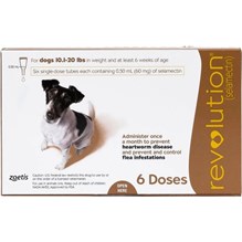 Revolution Topical Canine 10.1 - 20 lbs Brown 5 x 6 ct